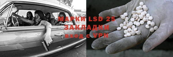 сатива Алзамай