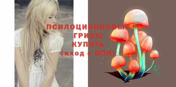 спайс Алексин