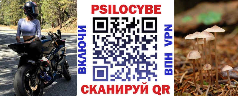 Псилоцибиновые грибы мицелий  как найти закладки  Завитинск 