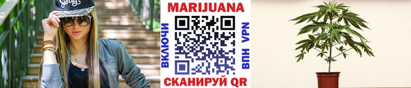 купить  цена  Завитинск  Конопля Ganja 